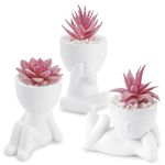 Der Rose 3 Pcs Fake Succulents Plants Artificial Pink Room Office Desk Decor for Women