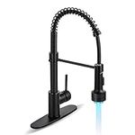HGN Kitchen Faucet with LED Light S