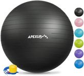 APEXUP Yoga Ball Exercise Ball, Ant