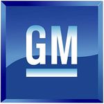 Genuine GM Accessories 20941825 220