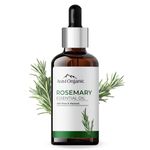 Aravi Organic Rosemary Essential Oil for Hair Growth,Quick Hair Growth Rosemary Oil for Women and Men - 100% Pure Rosemary Leaves Oil - 15 ml