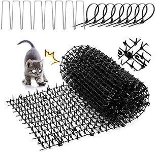 Cat Scat S