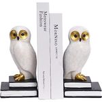 Wise White Snow Owl Heavy Duty Book Ends Decorative Unique Cute Bookends For Kids Home Office Decor Book Shelf Holder Modern Fun Resin Animal (NP1)