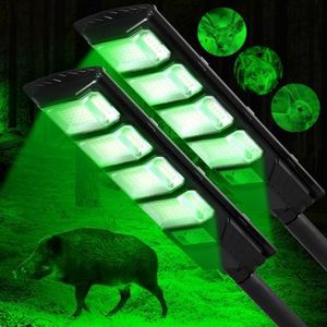 Hog Lights