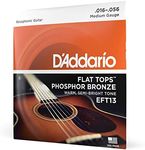 D'Addario Set Reso Guitar Flat Top 