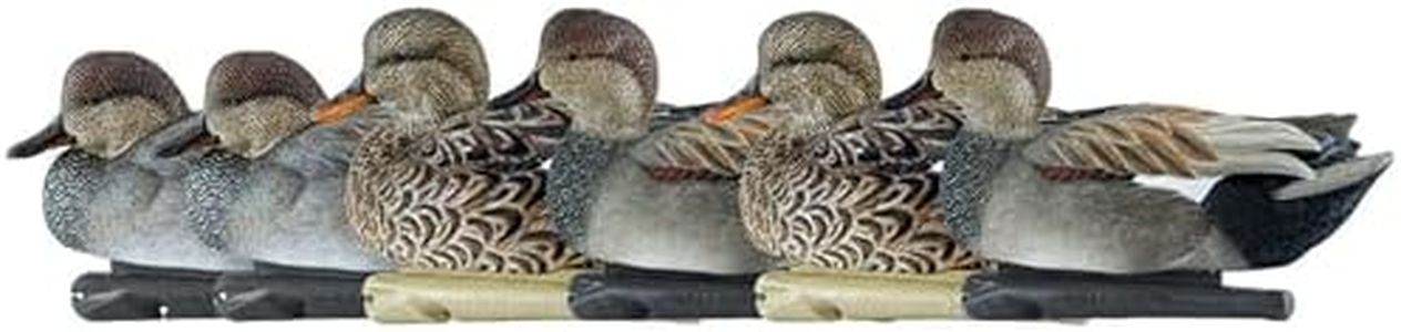 Avian-X Topflight Gadwall Durable Ultra Realistic Floating Hunting Duck Decoys, Pack of 6, AVX8085