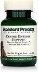Canine Enteric Support 30 Grams by Standard Process