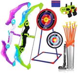 JoyRapt 2 Pack Bow and Arrow for Ki