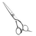 AOLANDUO 5.5 Inch Pro Hair Scissor -High End Aichi Steel Handmade Hair Cutting Scissor-Razor Edge/Offset Design/Pro Ergonomic for Salon Stylists Beauticians and Barbers