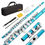 LeSage Closed Hole C Flutes 16 Key Blue Flute for Beginner Starter Student with Flute Case Maintenance Kit Cleaning Cloth Flute for Band C Foot Offset G Y-arm