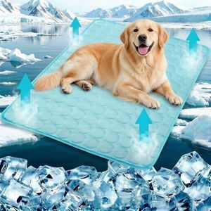 Dog Coolin