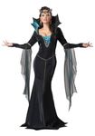 California Costumes 1231 Evil Sorceress Witch/Wizard Adult-Sized Costume, Black/Turquoise, Large