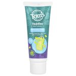 Tom's of Maine Natural Fluoride Free Children's Training Toothpaste, Mild Fruit Flavor, 1.75 Ounce