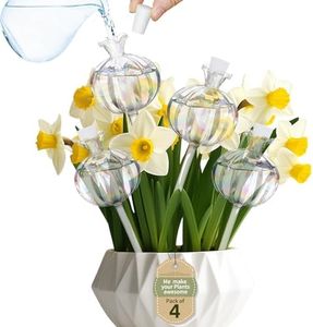 AiiYiiHii 4 Pack Plant Watering Globes, Pomegranate Shape Clear Glass Water Bulbs for Indoor Plants, Decorative Automatic Water Globes for Outdoor Plants, Glass Plant Waterer Self Watering Spikes