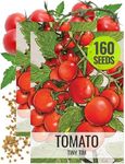 Seed Needs Tiny Tim Tomato Seeds for Planting - Non-GMO, Heirloom & Untreated - Organically Grow an Outdoor Vegetable Garden - Dwarf Plants Produce Cherry Tomatoes (2 Packs)