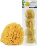 Baby Buddy Natural Grass Sea Sponge, Newborn Bath Time Essential, Textured for Exfoliation, Hypoallergenic, 4 count