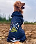 Lana Paws It's Raining Cats & Dogs! Printed Dog Raincoat for Medium Dogs, Beagles, Spitz, Indies, Cocker Spaniels & Similar