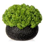 Arborus Succulents Plants Artificial in Ceramic Pots Fake Succulent Arrangement with Black Bowl Planter Large Faux Succulent Plants for Home Bathroom Shelf Desk Table Indoor Decor