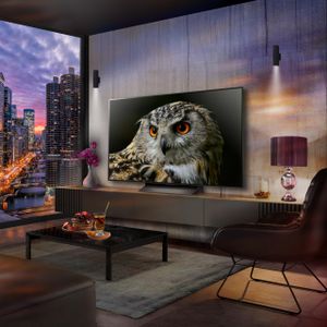 LG 65" OLED 4K Smart TV – Ultra HD HDR, ThinQ AI