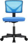 Sweetcrispy Office Chair, Ergonomic