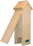 Bat Tower/Beacon