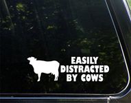 Sweet Tea Decals Easily Distracted by Cows - 8 3/4" x 2 3/4"- Vinyl Die Cut Decal for Windows, Trucks, Cars, Laptops, Glasses. Mugs, Etc.