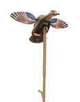 MOJO Outdoors Elite Series Mini Mallard Spinning Wing Flexible Duck Decoy for Duck Hunting with Smoother, Quieter, Faster, and More User Friendly Decoy, Includes A Solid Component Housing, Hen