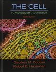 The Cell: A Molecular Approach