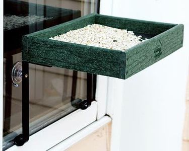 Audubon Going Green Window Bird Feeder