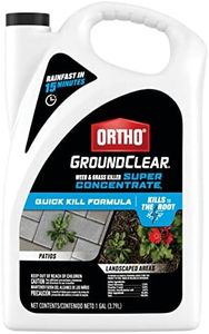 Ortho Grou