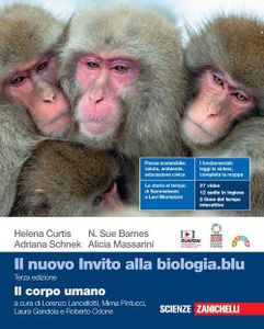 Il nuovo i