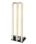 Toyshine Wooden Stumps Set with Heavy Duty Spring Stand Base, Color Vay Mary SSTP