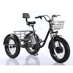 OQCEHA 20" Fat Tire 3 Wheel Electric Bike for Senior, 500w Adults Electric Tricycle Trike with Removable 48V 10Ah Battery, Three Wheel Ebike E Bicycle Motorized Trike with Basket for Women Men