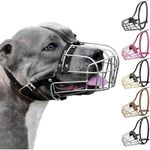 BRONZEDOG Pitbull Dog Muzzle Adjust