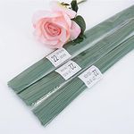 Suniney 200 PCS Floral Stem Wire, 22 Gauge 15.7inch/40cm Floral Wrapped Wire Florist Flower Arrangement, Green Crafting Paper Flower Bow Stem Wire for Handcrafts Florist Flower Arrangements Flower Wreaths Tree Garland Making Wedding