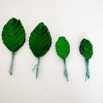 Green Leaf For Crafts