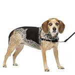 PetSafe Easy Walk No-Pull Dog Harness - The Ultimate Harness to Help Stop Pulling - Take Control & Teach Better Leash Manners - Helps Prevent Pets Pulling on Walks - Small/Medium, Charcoal/Black