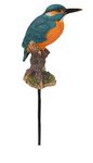 Vivid Arts Plant Pals - Kingfisher Plant Pal (PLP-104)