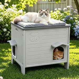 Rockever Heated Cat House for Outside in Winter, 100% Waterproof & Insulated Heated Cat House for Outdoor Cats with Heating Pad, Elevated Outdoor Cat House Safe Escape Door, Clean Easily(L)