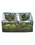 Zenport SH3212A+BTP Garden Raised Bed and Cold Frame Greenhouse Cloche for Easy Access Protected Gardening