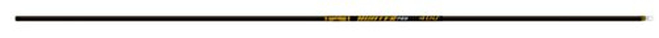 Gold Tip LLC Hunter Pro Arrow Shafts (Pack of 12), 300, Black