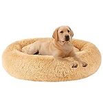 MFOX Calming Dog Bed (XL) for Mediu