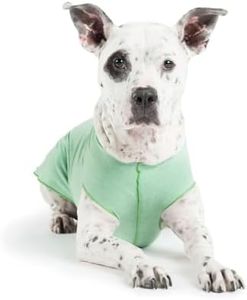 Gold Paw Sun Shield Dog Tee - T-Shirt for Canines - UV Protection, Pet Anxiety Relief, Wound Care - Protects Against Foxtails, Aids Alopecia - Machine Washable, All Season - Size 6 - Pistachio