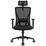 Durrafy Office Chair Ergonomic, Office Desk Chair with Adjustable Headrest, Armrests, Lumbar Support Height Adjustable, 90°-130° Rocking, Executive Chair Loadable 150KG