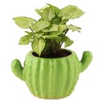 Leafy Tales Ceramic Cactus Shape Planter, Small Size - Light Green, 1 Piece