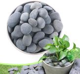 2.4LB River Rocks,Mexican Beach Pebbles for Plants,Potting,Garden Landscape Stone Paving Stone Grey 1Inch - 2Inch