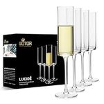 WOTOR Crystal Champagne Flutes, Han