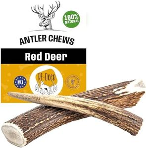 RF - Deer 