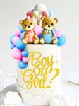 JeVenis Cute Gender Reveal Cake Toppers Boy or Girl Cake Decoration Teddy Bear Cake Decoration Baby Shower Cake Decoration