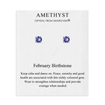 February Birthstone Earrings (Amethyst) Created with Zircondia® Crystals, Crystal, Zircondia crystal